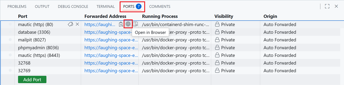 Screenshot of ports tab in VS Code terminal, highlighting globe icon